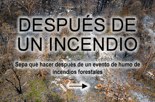 Texto "Después de un incendio"