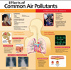 Miniatura del póster médico de efectos de los contaminantes del aire más comunes